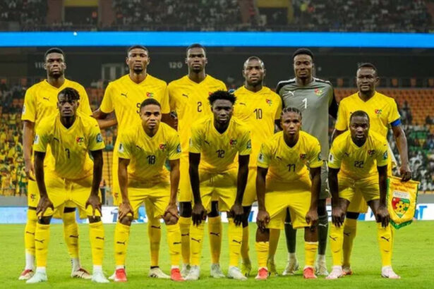 CAN 2027, Togo, Éperviers