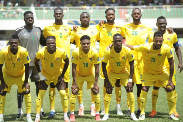éperviers du Togo